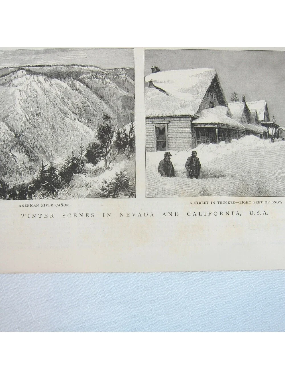 Antique 1885 Print 